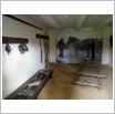 Galeria zdjęć: Klub Seniora. Link otwiera powiększoną wersję zdjęcia.
