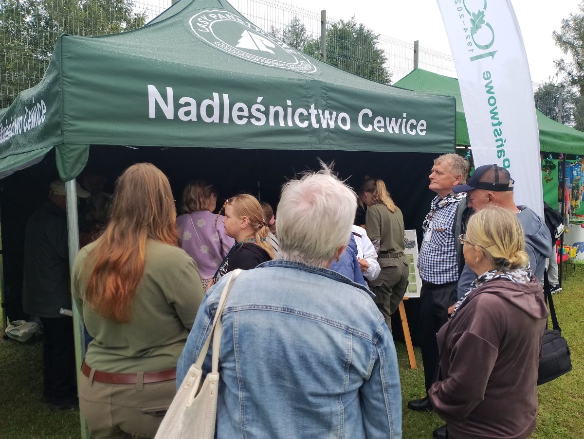 Galeria zdjęć: DZIAŁANIA PROFILAKTYCZNO-EDUKACYJNE